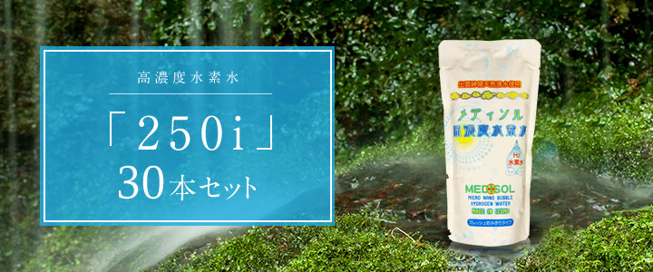 出雲國水素水NS 30本セット